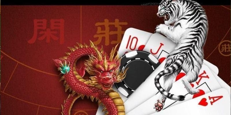 Các loại cửa cược trong Rồng Hổ HD88